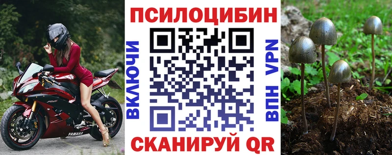 Псилоцибиновые грибы GOLDEN TEACHER  купить наркотики сайты  Пласт 